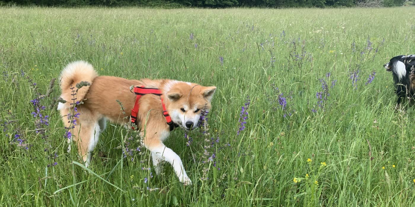 a la découverte de la nature