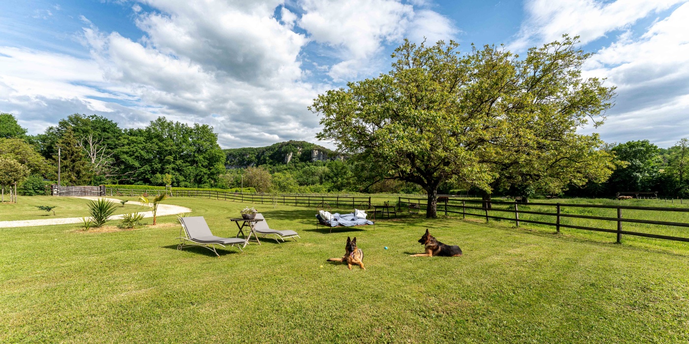 gite avec chien en dordogne les eyzies