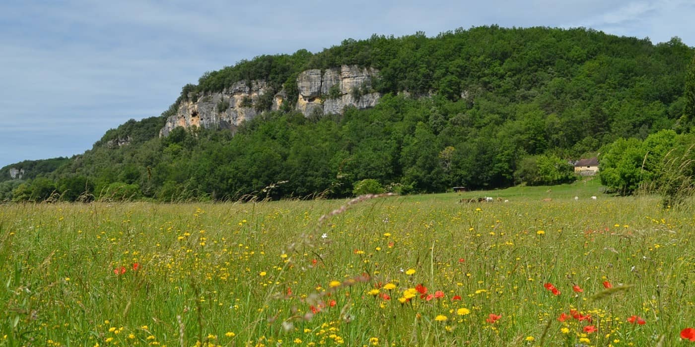 nfhpaturesfalaiseseymaries1400x470
