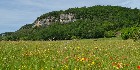 nfhpaturesfalaiseseymaries1400x470