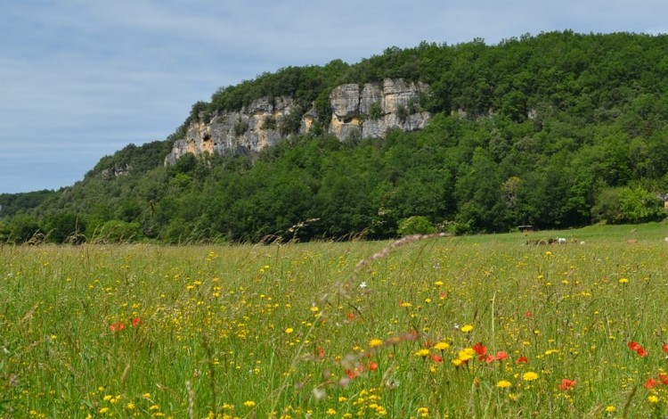 En plaine nature